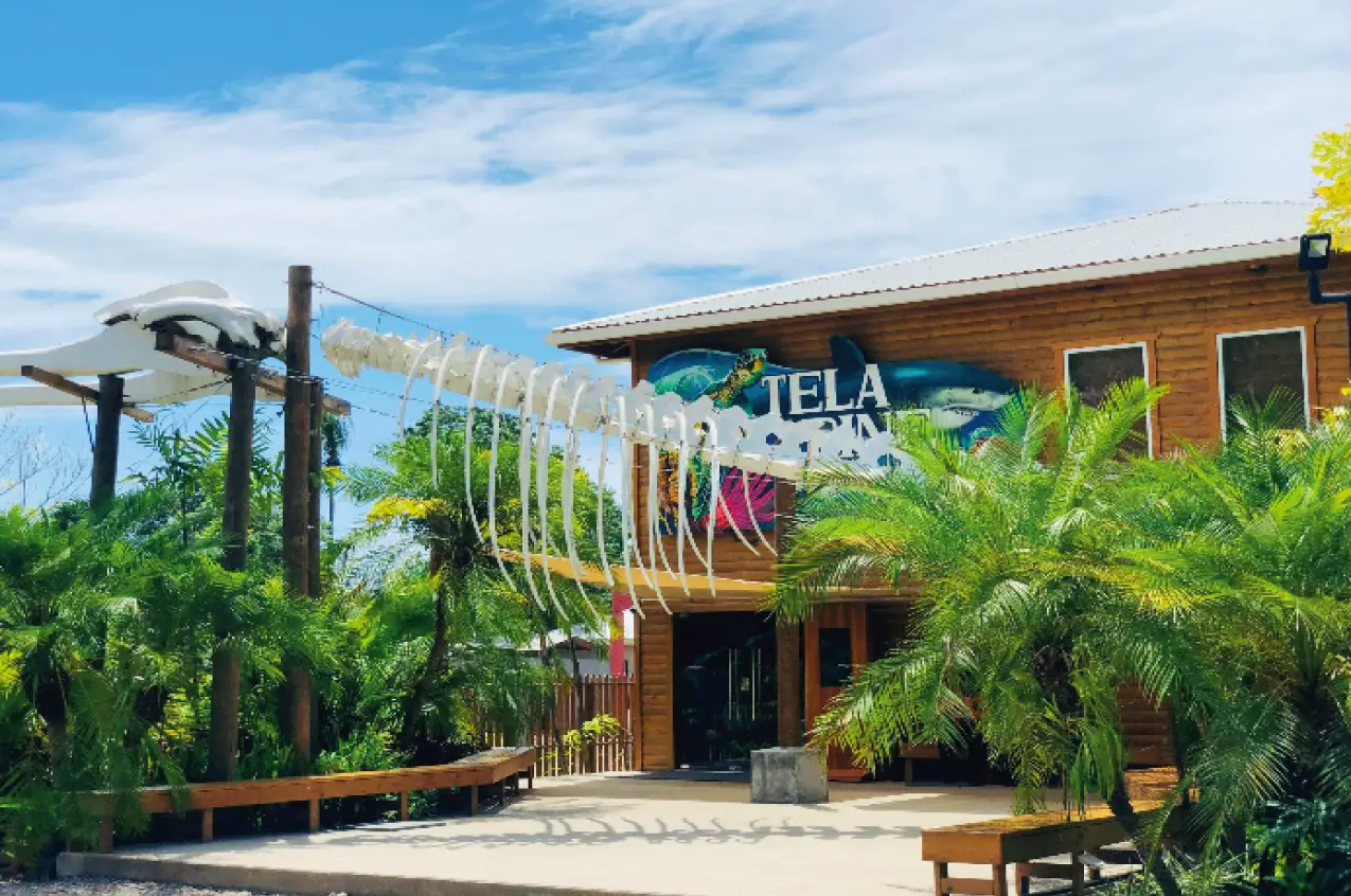 Tela Marine & Beach Fun
