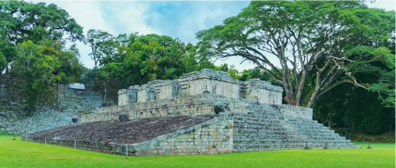 The Maya Civilization